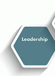 Leadership button